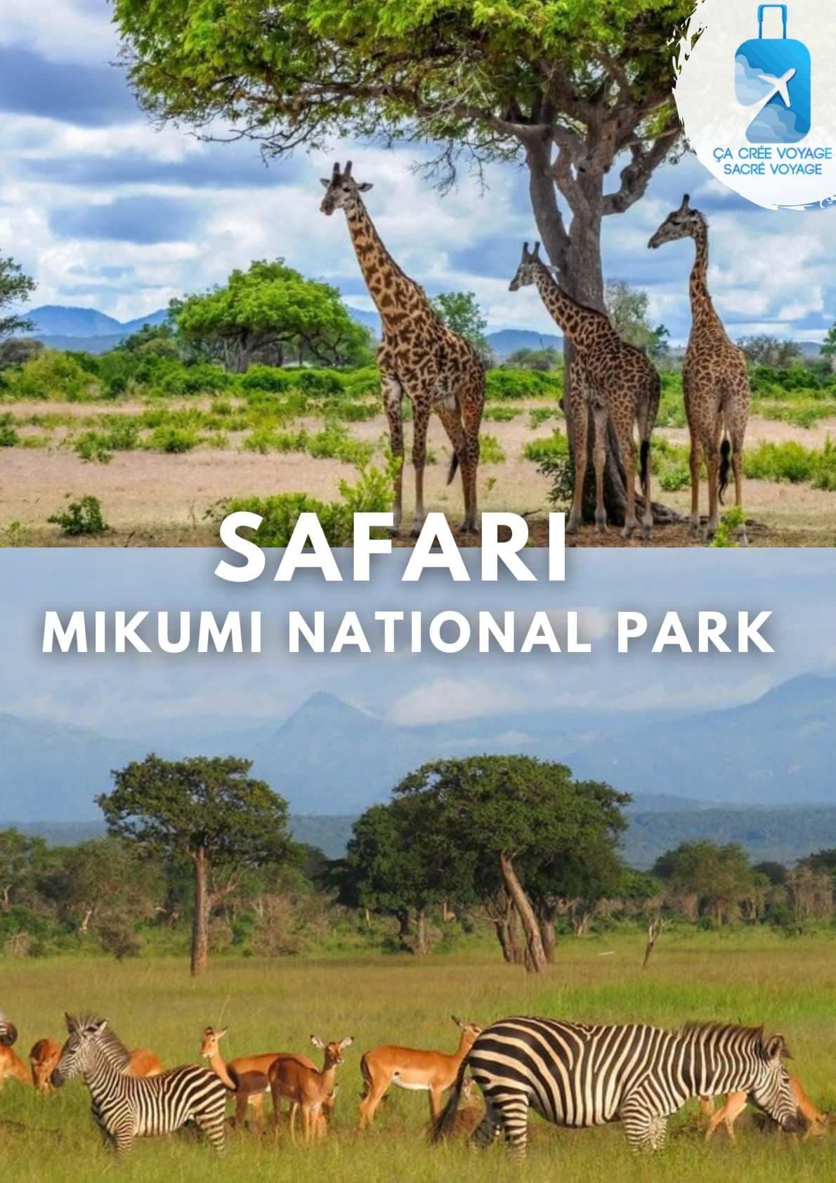 Journée Libre ou Safari (Optionnel)