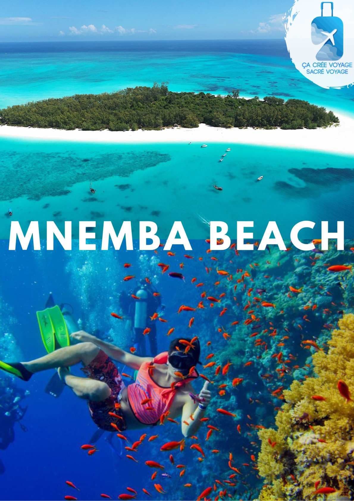 Mnemba Island & Pongwe